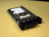 IBM 07N3830 36.4GB 10K SCSI Netfinity Hard Drive Disk