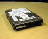 IBM 09L4058 9.1GB Netfinity SCSI 3.5in Hard Drive Disk